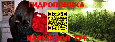 прущие крисы Будённовск